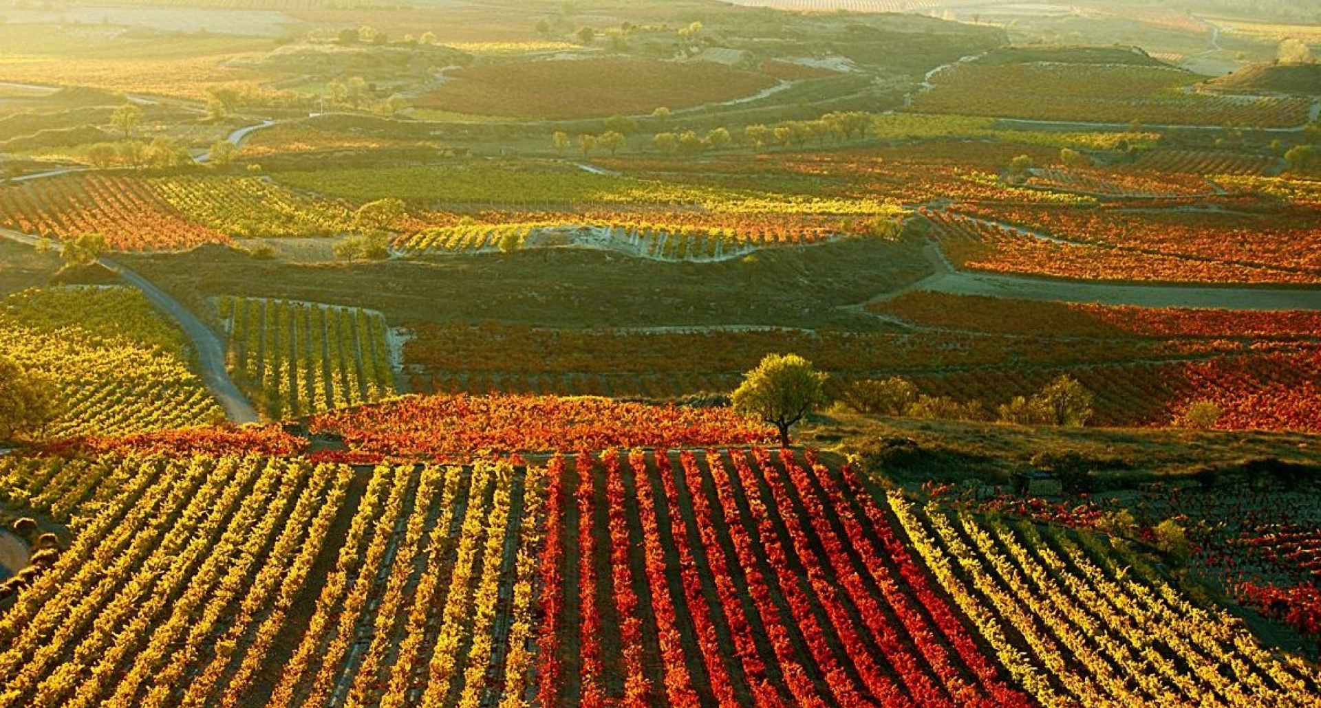 Tourist Attractions | Herederos del Marqués de Riscal - Wines with ...
