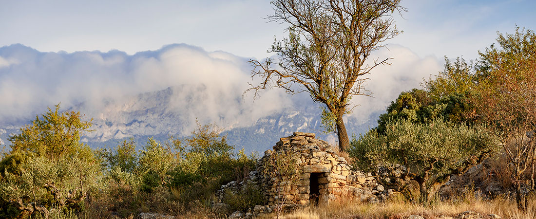 Naturaleza en Álava