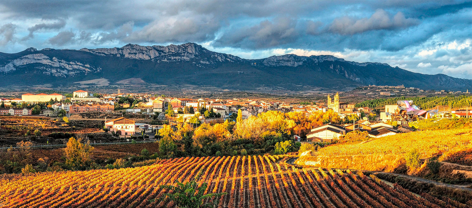 Designations of origin | Herederos del Marqués de Riscal - Wines with ...