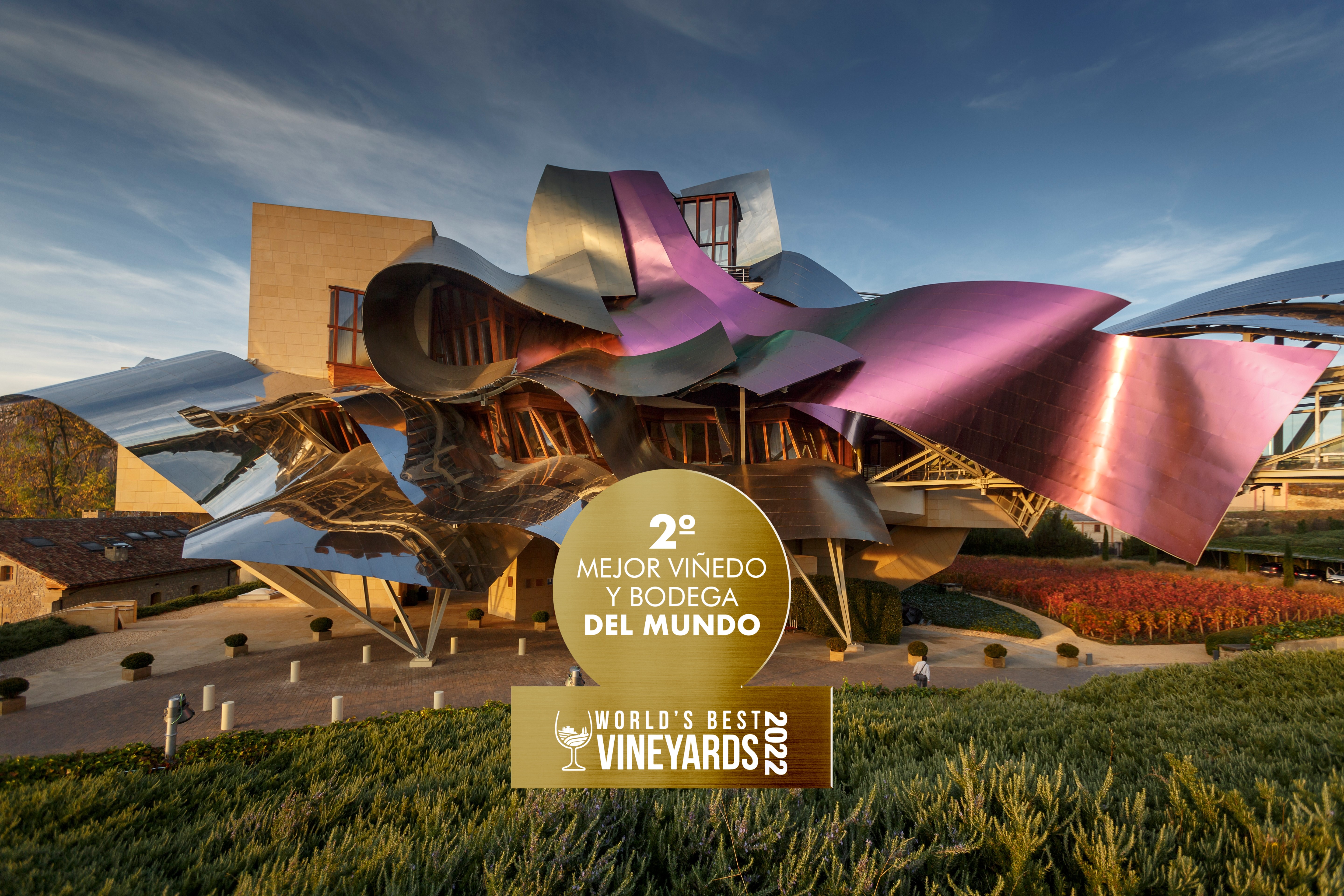 Rioja marques de riscal. Отель Маркиз де Рискаль Испания. Маркес де Рискаль. Винодельня marqués de risca. Фрэнк Гери Архитектор.